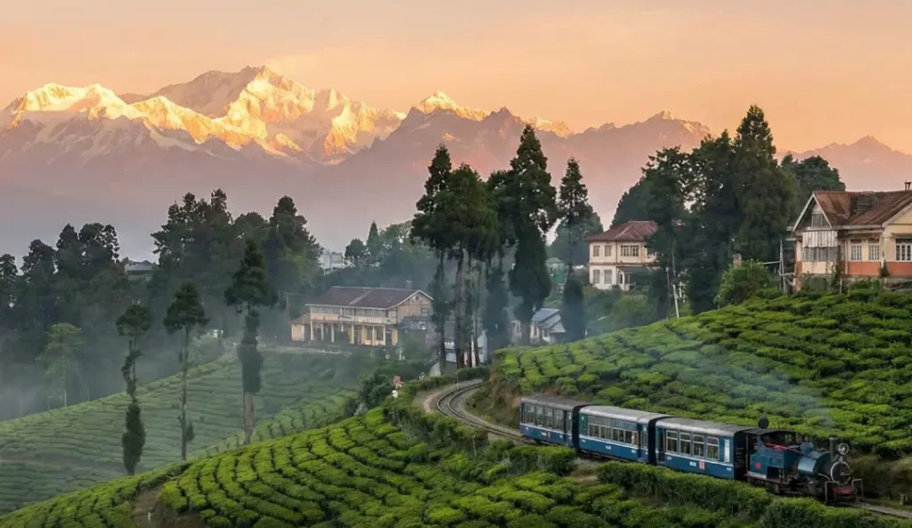 Scenic Paradise