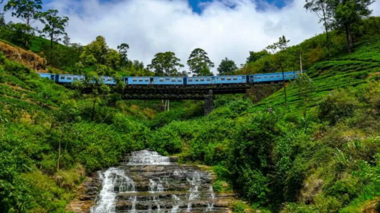 Lanka Coastal Charm Tour