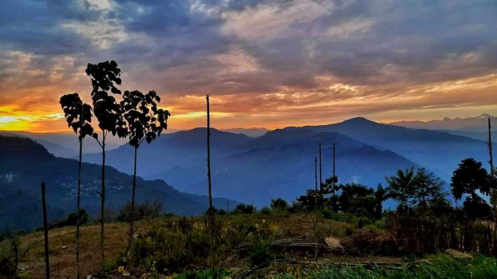 Himalayan Delight
